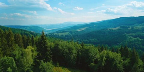 Fototapeta premium A beautiful mountain range with a clear blue sky. The trees are lush and green, and the view is breathtaking