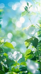 White flowers bloom against a backdrop of lush greenery and a bright blue sky