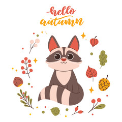 Hello autumn postcard with cute raccoon. Woodland card with leaves and cute forest animal on white background in cartoon style.
