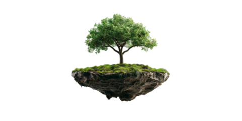 A tree is floating in the air above a white background
