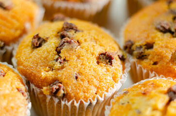 A close up of a muffin with chocolate chips on top