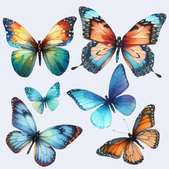 set with a variety of bright butterflies in a watercolor style