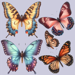 set with a variety of bright butterflies in a watercolor style