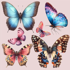 set with a variety of bright butterflies in a watercolor style