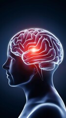 Human Brain Cover Artwork Intelligence Mind Concept Background Side View 3d illustration