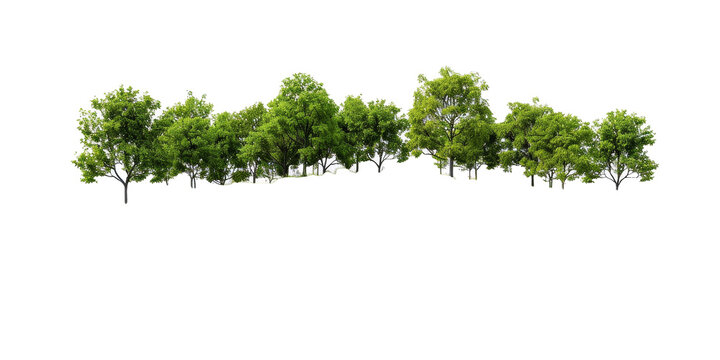 A row of trees with green leaves and a white background