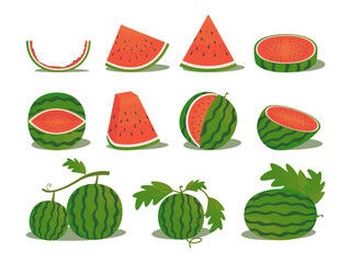 illustration of whole and sliced ​​fresh watermelon