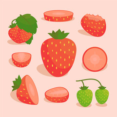 set of red strawberries in vector illustration