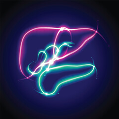 The illustration of the human liver and pancreas is presented in a glowing neon green-red line style on a dark blue background.