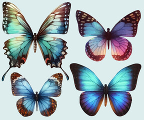 set with a variety of bright butterflies in a watercolor style