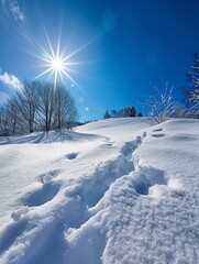 Crisp snow-covered landscape on a sunny winter day