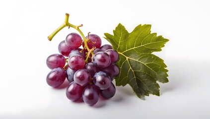 Fototapeta premium A bunch of purple grapes with leaves, on a white background, the grapes are plump and juicy, and the leaves are green and bright.