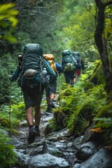 Backpackers hiking through a mountain trail