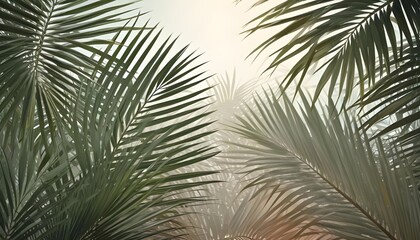 Palm leaves evergreen summer realistic on transparent backgrounds