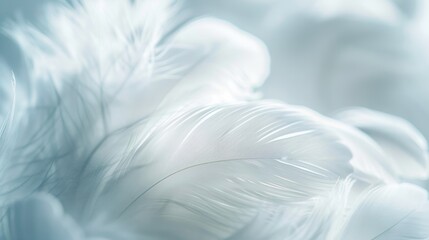 Obraz premium Detailed close-up of soft white feathers, emphasizing their delicate and fluffy texture.