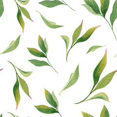 Seamless pattern with watercolor peony leaves