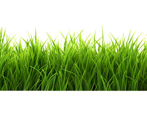Obraz premium Green grass frame isolated on transparent background.