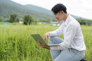 Fototapeta premium Modern Farmer Using Technology in Agriculture Field with Laptop for Efficient Farming Practices and Crop Management