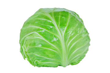 Healthy food, cabbage vegetable. Young green cabbage isolated.