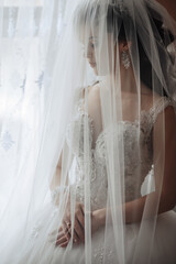A woman in a wedding dress is sitting under a veil. The veil is white and has a lace design. The woman is wearing a necklace and earrings. The scene is intimate and romantic