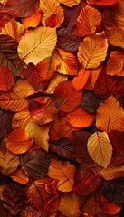 Obraz premium Autumn leaves close up background. Colorful fall leaves pattern. Macro top view