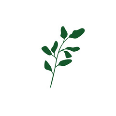 Hand drawn leaf icon flat vector design