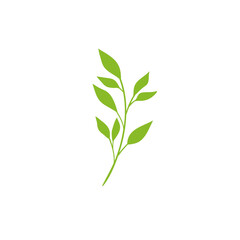 Hand drawn leaf icon flat vector design