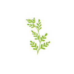Hand drawn leaf icon flat vector design