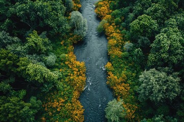 Aerial View: Serpentine River Meandering Through Lush Green Forest with Golden Banks