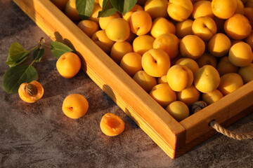 Bright summer orange apricots on the table 
