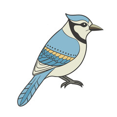 Blue Jay Bird Vector for multiple uses