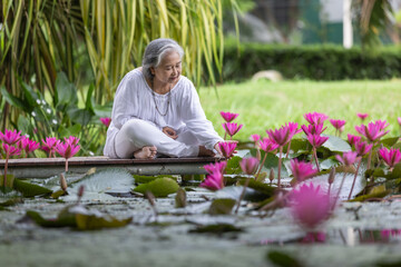Elderly Woman Sitting Peacefully on Dock Surrounded by Blooming Pink Lotus Flowers in Pond