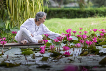 Elderly Woman Sitting Peacefully on Dock Surrounded by Blooming Pink Lotus Flowers in Pond