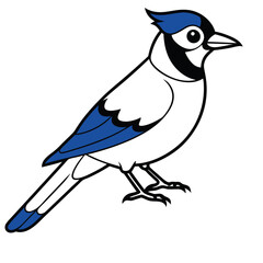 Blue Jay Bird Vector for multiple uses