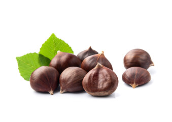 Ripe chestnuts with leaves on a white background