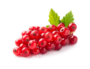 Red currant with leaves on white backgrounds