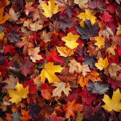 Fototapeta premium Autumn leaves close up background. Colorful fall leaves pattern. Macro top view
