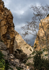 Avakas Gorge in Cyprus..