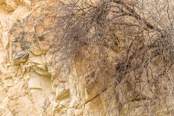 Avakas Gorge in Cyprus..