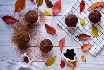 Chocolate Muffins