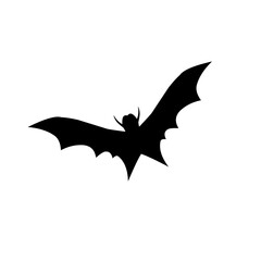 Halloween scary bat. Seamless vector background.