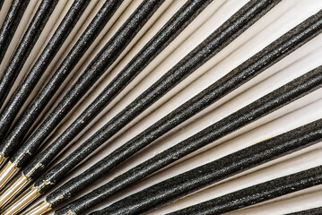 INSTRUMENT - Accordion bellows close up