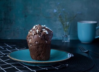 Chocolate Muffin
