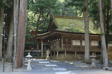 Old wooden japanese temple in Koyasan