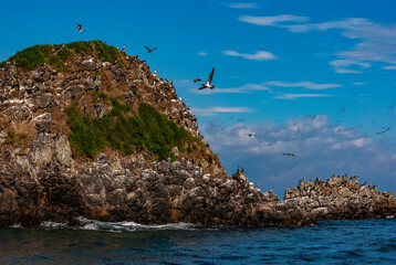 Gorgona Island_Pacific Ocean_Colombia