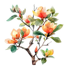 Watercolor of Flowers on the branch, isolated on a white background, Flowers on the branch vector