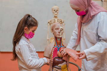 A female teacher in hijab uses the human body model to explain anatomy in the classroom lab.