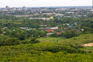 Beautiful blurred morning nature background amidst cassava forest with colorful morning natural light and light mist covering the sky.