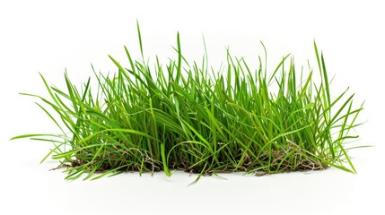 A bunch of green grass sitting on top of a white surface, great for decoration or photography props