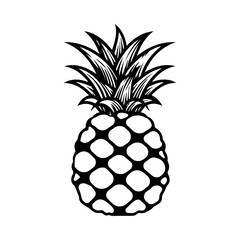 Vector illustration of pineapple hand drawn in doodle style, element, clipart, fruit